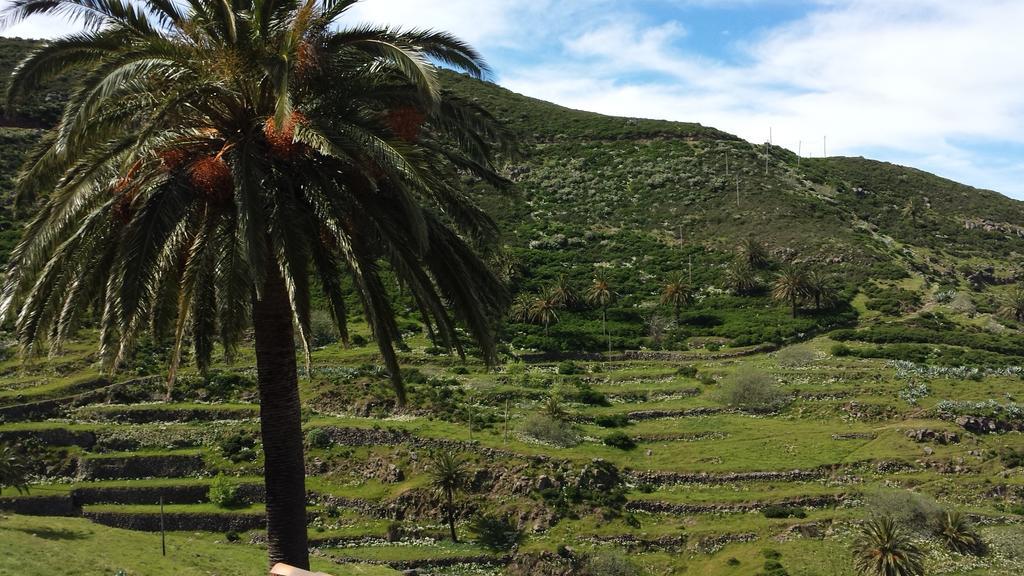 Casas Rurales Los Manantiales El Cercado Kültér fotó